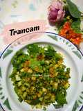 Trancam