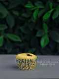 Vanilla cupcake