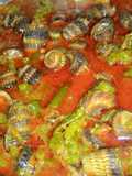 Keong nenek/katanglo