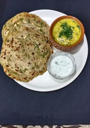 A picture of Garlic chilli paratha.