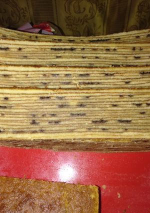 Foto resep Lapis susu bintik