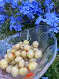 Pickled Otaheite Gooseberries