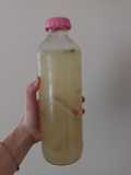 Limonada con jengibre