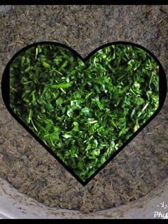 عکسی از دستور سبزی خورشتی