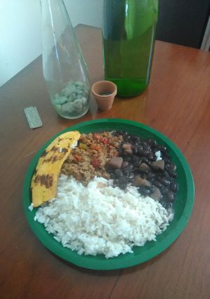 Una foto de Versión de pabellón venezolano