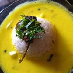 A picture of Kadhi with lauki.