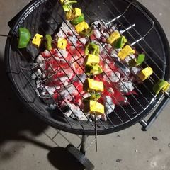 A picture of Paneer tikka.