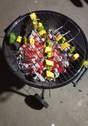 A picture of Paneer tikka.