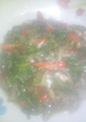 Foto resep Tumis kemangi+teri pedes endes