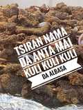 Tsiran anta da nama Mai kuli kuli da Albasa