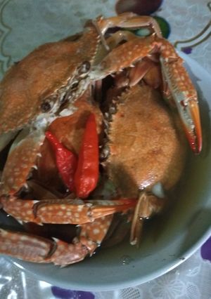 Foto resep Kepiting rebus simpel