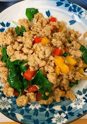 泰～九層塔炒肉≠打拋豬🐷 的食譜成品照片