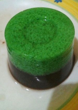 Foto resep Puding lumut rasa alpokat lapis coklat
