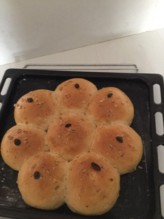 A picture of SOFT BUNS🤤🤤🤤.