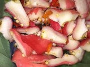 Gambar manisan jambu air pedas