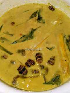Gambar Siput sedut Lemak Cili padi