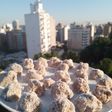 Trufas de avena, banana y chocolate 🍌🌰🍫