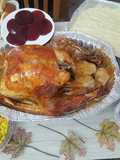 Pavo, thanksgiving day