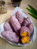 Korean Sweet Potato Mochi Bread // GOGUMA PPANG