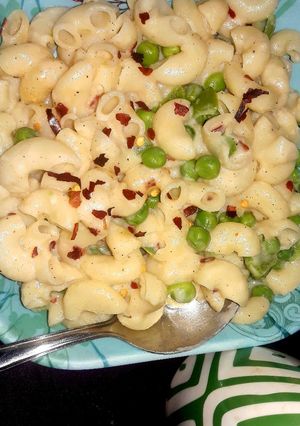 वाइट सॉस मैकरोनी (White sauce macaroni recipe in Hindi) रेसिपी मुख्य फोटो