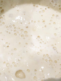 Una foto de Masa madre natural hecha con una manzana y agua