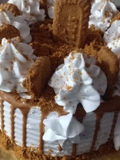 બીસકોફ કેક (Biscoff Cake Recipe In Gujarati) રેસીપી મુખ્ય ફોટો