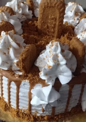 બીસકોફ કેક (Biscoff Cake Recipe In Gujarati) રેસીપી મુખ્ય ફોટો
