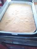 Bizcocho plancha