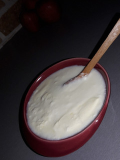 عکسی از دستور ماست خونگی ساده