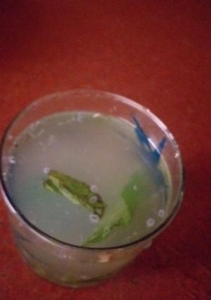 निंबू पुदीना का शरबत (Nimbu pudina ka sharbat recipe in hindi) रेसिपी मुख्य फोटो