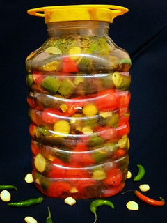عکسی از دستور شوری تنبل (ترشی شوری)