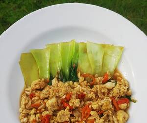 Resep Populer Tumis Pokcoy Telur Nikmat Lezat Resep Populer Tumis Pokcoy Telur Nikmat Lezat