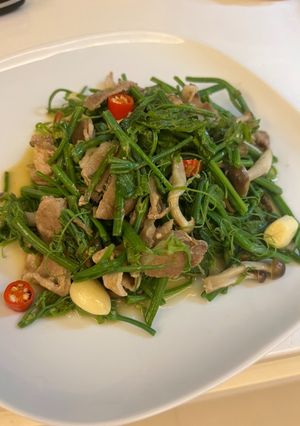 龍鬚菜炒豬肉片 的食譜成品照片