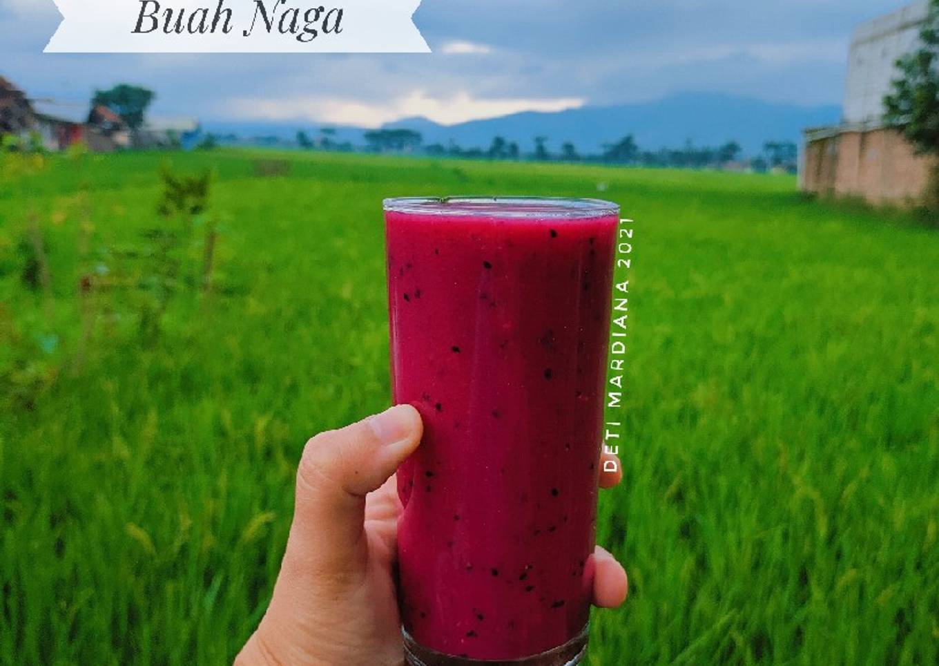 Smoothies Buah Naga