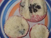 A picture of oreo cupcakes