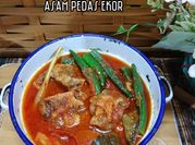 Gambar tomato bendi
