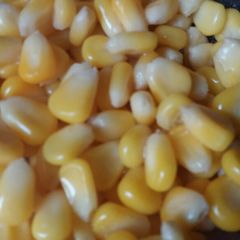A picture of Sweetcorn.