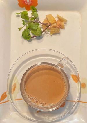 આદુ ફુદીના ની ચા (Ginger Pudina Tea Recipe In Gujarati) રેસીપી મુખ્ય ફોટો