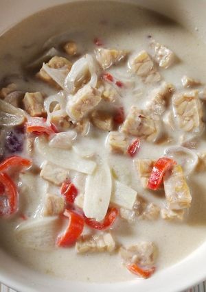 Foto resep Sayur Tempe Santan