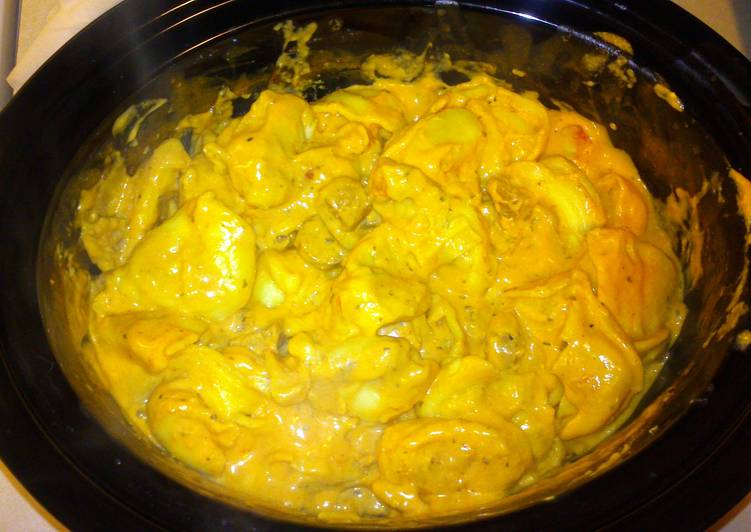 Recipe of Ultimate Cheesy Tortellini