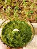 Homegrown Fresh Mint Ki Spicy Chutney 🌶️🌿🌶️🌿🌶️