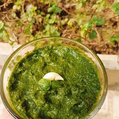 A picture of Homegrown Fresh Mint Ki Spicy Chutney 🌶️🌿🌶️🌿🌶️.