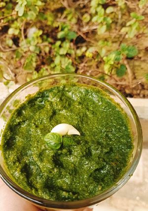 A picture of Homegrown Fresh Mint Ki Spicy Chutney 🌶️🌿🌶️🌿🌶️.
