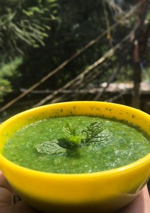 A picture of Coriander-mint chutney.