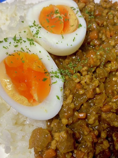 A picture of Easy Keema Curry with Curry Roux!.