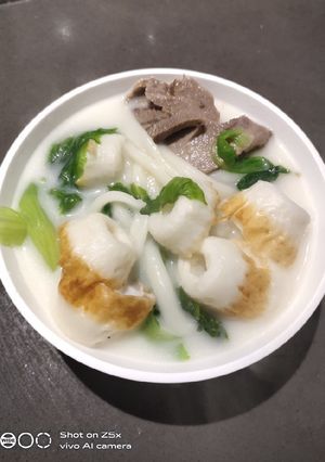 A picture of Udon.