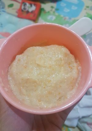 Foto resep MPASI 6-8 bulan Menu Lengkap - Bubur Opor Ayam