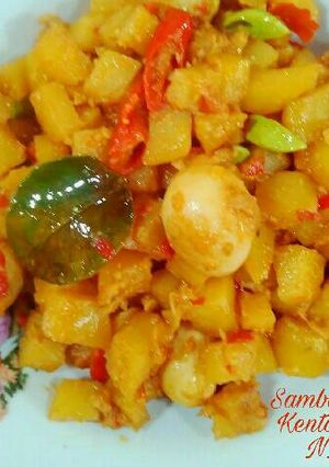 Foto resep Sambal Goreng Kentang