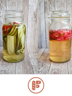 A picture of How To Pickle Almost Anything.