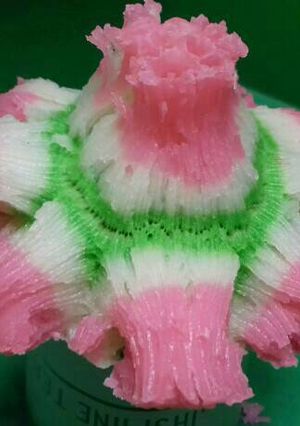 Foto resep Bikang Mawar Anti Gagal